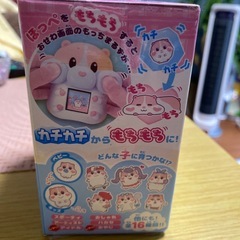 新品未開封❗️❗️もっちまるずの画像