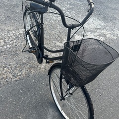 自転車1901 (2024年製)の画像