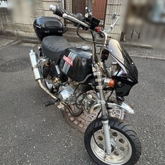 ホンダ　ゴリラ　の画像