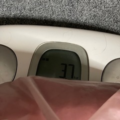 セグレタ シャンプー業務用3.7kgの画像