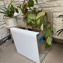 せせらぎビオトープ　水槽の画像
