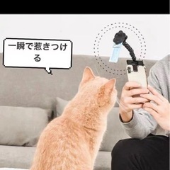 【新品】ペット用 自撮り棒 軽量型 コンパクト スマホの画像