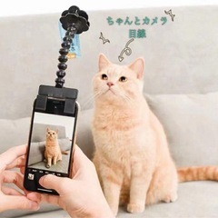 【新品】ペット用 自撮り棒 軽量型 コンパクト スマホの画像