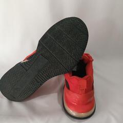 NIKEAIRMAX　ナイキ　スニーカー　29.0cmの画像