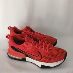 NIKEAIRMAX　ナイキ　スニーカー　29.0cmの画像