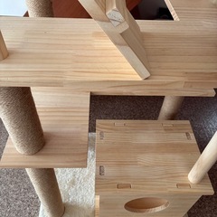 キャットタワーの画像