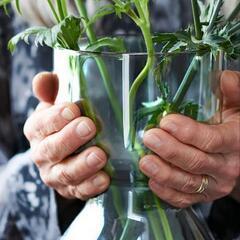 IKEA　花瓶　フラワーベースの画像