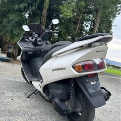 【実働】ホンダ フォルツァ 250の画像