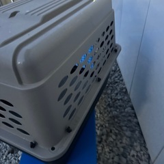 Petmate バリケンネル Lサイズ P-400 大型犬 クレートの画像