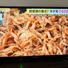 テレビ 32型の画像
