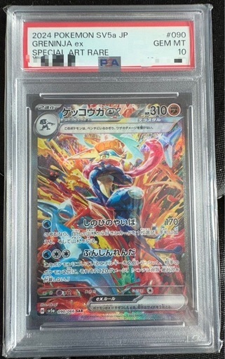 ブラッキーマスボ、ゲッコウガ　PSA10 セット
