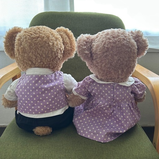 お洋服2セット付き】ダッフィ・シェリーメイぬいぐるみセット