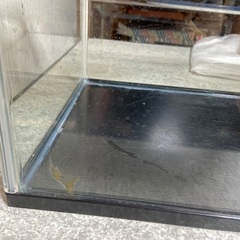水槽2個　幅60cmと40cmの画像