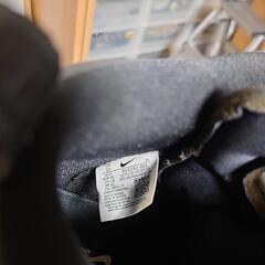 ナイキダンクSBの画像