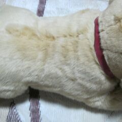 ぬいぐるみの画像
