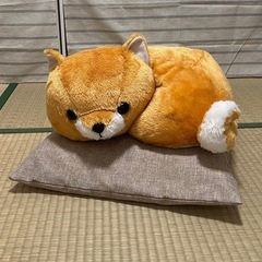 【豆柴三兄弟】豆太郎・サスケ
の画像