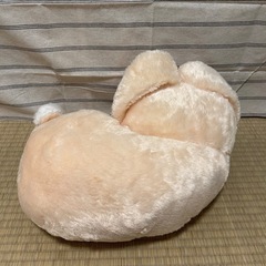 【豆柴三兄弟】豆太郎・サスケ
の画像