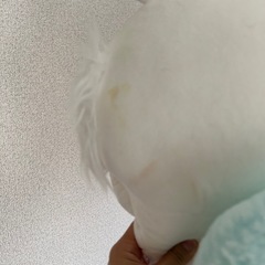 ちいかわモモンガぬいぐるみの画像