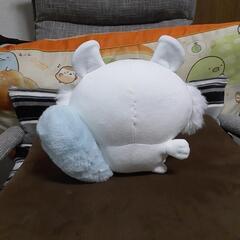 モモンガの画像