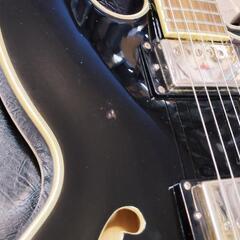 エレキギター Epiphone Sheraton II Pro の画像