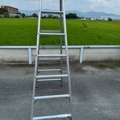 脚立 はしご 7段の画像
