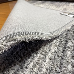 コストコ カーペット 200x274cmの画像