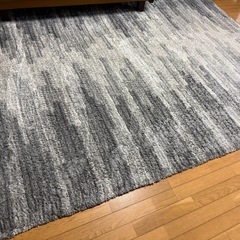 コストコ カーペット 200x274cmの画像