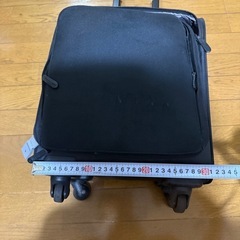 国内キャリーバックの画像
