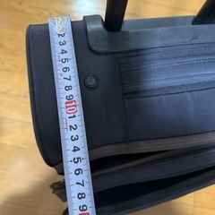 国内キャリーバックの画像