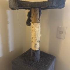 キャットタワーの画像