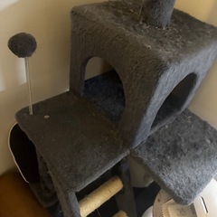 キャットタワーの画像