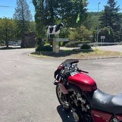 YAMAHA vmax1200カナダ2LT の画像