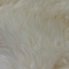 ムートンラッグの画像