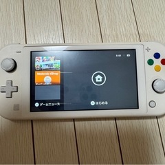 Nintendo Switch Lite 外装カスタムモデル 動作良好の画像