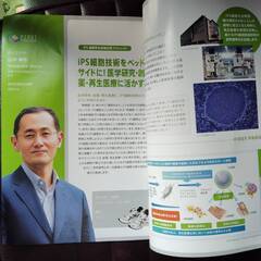 最先端研究開発支援プログラムFIRST Program 2012-2013 パンフレット　ノーベル賞学者が2人 掲載の画像