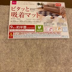 「ピタっと吸着マット」新品中古合わせて全部で99枚の画像