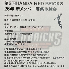 HANDA RED BRICKS ／ ハンドボールクラブの画像