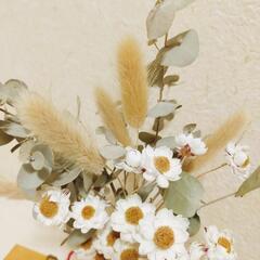 ドライフラワーお好きな方に❀の画像