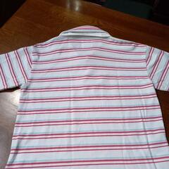 PPFM メンズポロシャツの画像