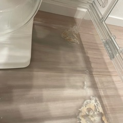 ② グラスハーモニー 450 ケージ ハムスター おまとめ 飼育用品の画像