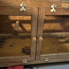 飼育ケージの画像