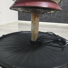 ジャパネットで購入したザイグルの画像