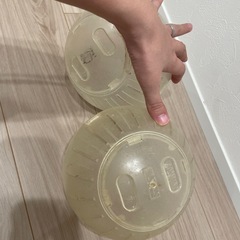 ランナーボール18/ハムスターボール 回し車 ホイール 運動 ストレス解消 掃除 ゴールデン キンクマ サンコー SANKO 三晃商会の画像