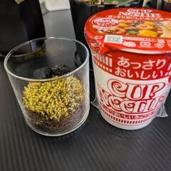 苔テラリウム 乾燥に強い コンパクトサイズの画像