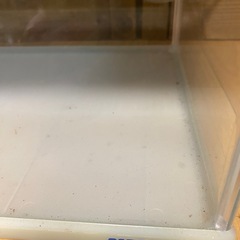GEX 🐠NISSO40センチ水槽🐠2セットの画像