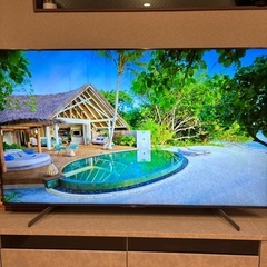 テレビの画像