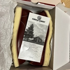 商談成立。
カジュアルシューズの画像