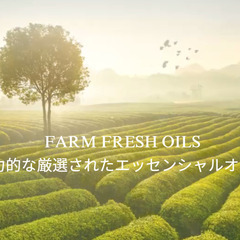 卸価格の魅力的なエッセンシャルオイル（精油)、アロマオイル…