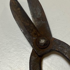 植木鋏 剪定ハサミ 枝切り はさみ 宗晴の画像