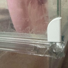 ご購入者様決定いたしました！ハムスター飼育セット！ ケージ グラスハーモニー450プラスの画像